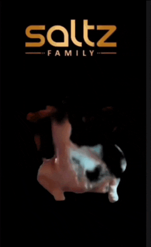 a saltz family ad with a chicken in the background
