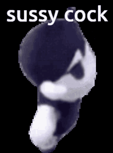 a picture of a stuffed animal with the words sussy cock written above it