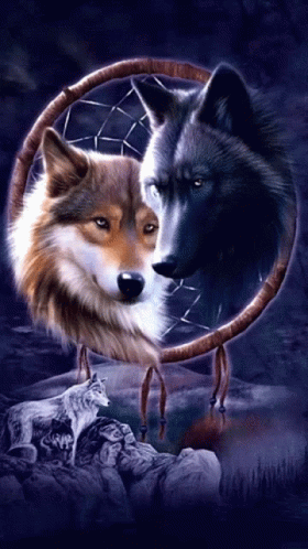 Wolf Pack Dream Catcher GIF - Wolf Pack Wolf Dream Catcher GIFs