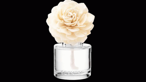 Fragrance Flower Mp4 Beautiful Scent GIF - Fragrance Flower Mp4 Beautiful Scent Scent GIFs