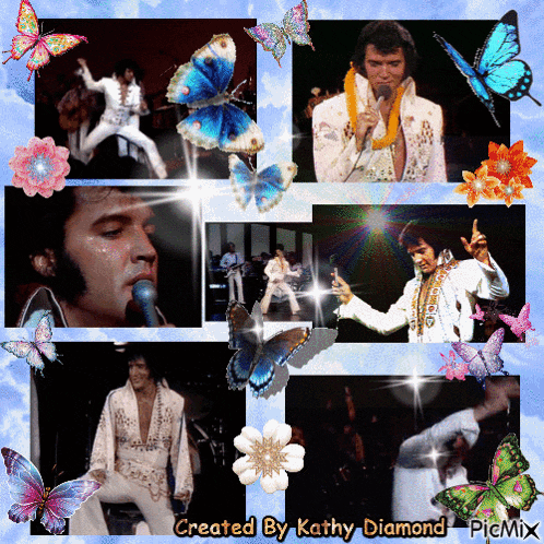 a picture of elvis presley is surrounded by butterflies