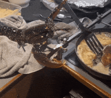 Lobster Cooking GIF - Lobster Cooking Sea GIFs
