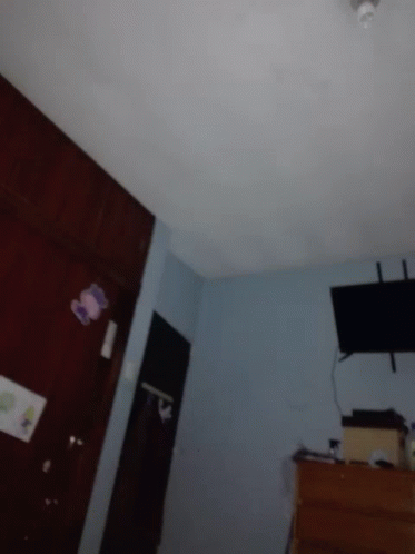 2777 GIF - 2777 GIFs