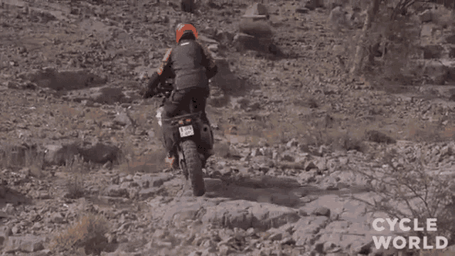 Uphill Stunt GIF - Uphill Stunt Pro Rider GIFs