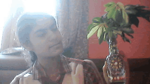 a woman in a plaid shirt is holding a vase of flowers