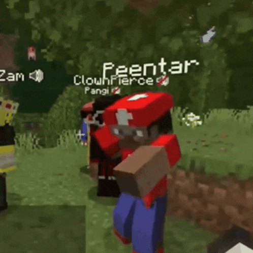 a person in a red hat is in a video game with the name clowfeentar