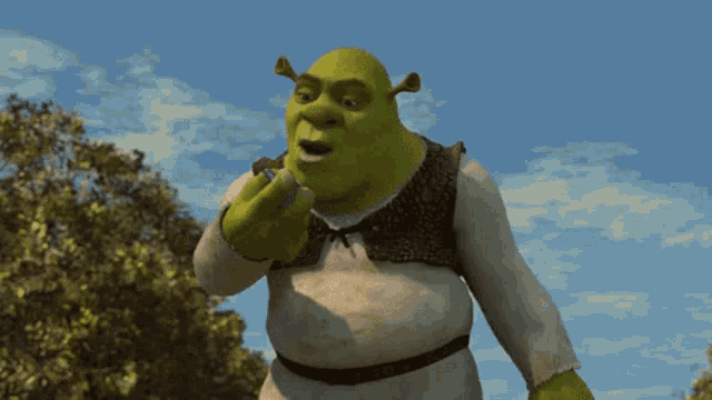 Shrek2 Shrek GIF - Shrek2 Shrek Talk GIFs