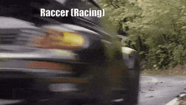 Raccer Racing GIF - Raccer Racing Raccer Racing GIFs