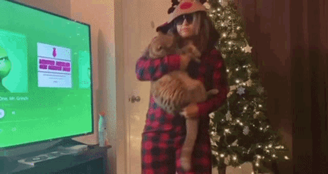 a woman is holding a cat in front of a christmas tree and a television .