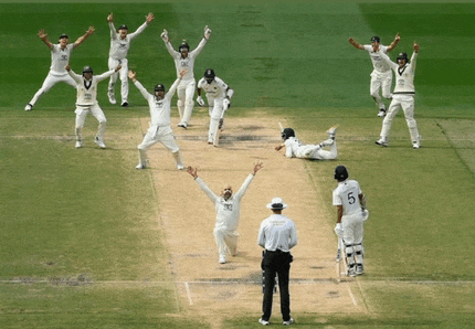 a cricket player with the number 5 on the back of his shirt