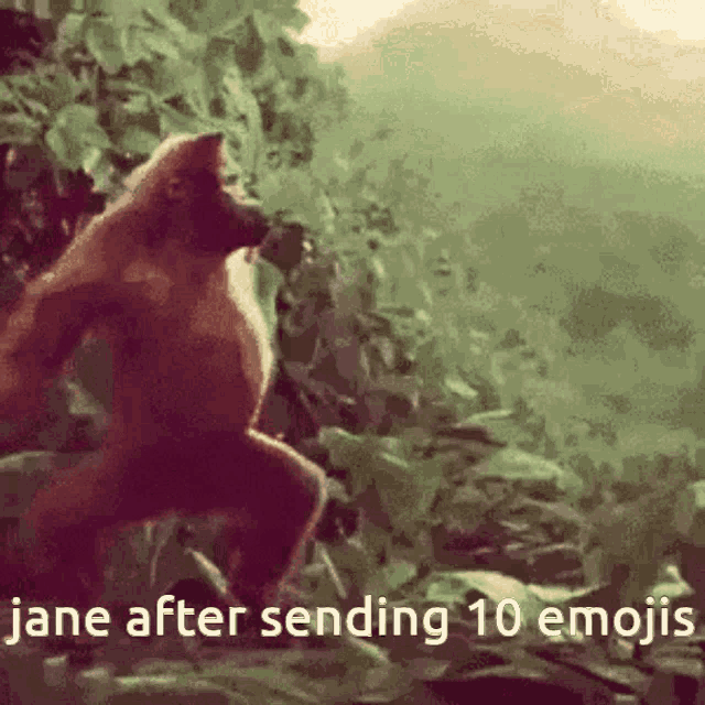 a monkey with the words jane after sending 10 emojis
