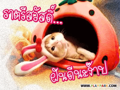 a picture of a cat wearing a hat with bunny ears and the website www.playpark.com below it