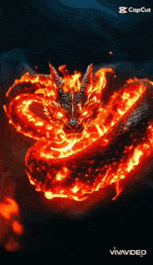 a dragon is surrounded by flames and looks like it is on fire