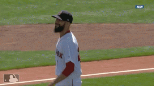 Red Sox GIF - Red Sox Boston GIFs