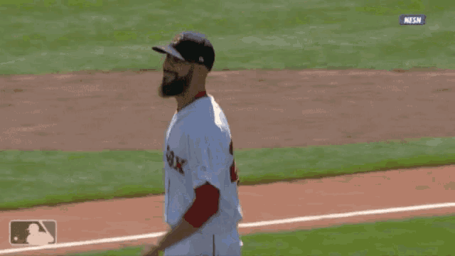 Red Sox GIF