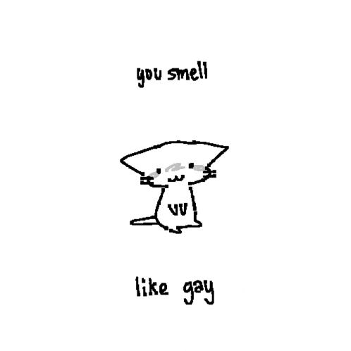 a black and white drawing of a cat with the words `` you smell like gay '' .