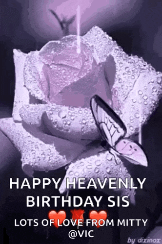 a butterfly is sitting on top of a purple rose with water drops on it .