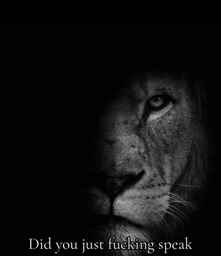 a black and white photo of a lion with the words did you just fucking speak