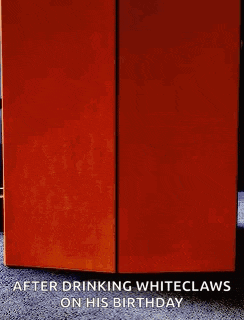 a red refrigerator with the words `` after drinking whiteclaws on his birthday '' on it is sitting on the floor .