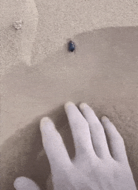 a person 's hand is reaching for a bug on a piece of paper .