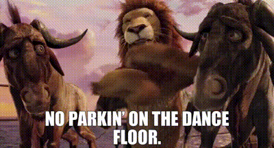 The Wild Movie No Parkin On The Dance Floor GIF