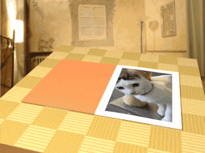 a picture of a cat is on a table with a checkered table cloth