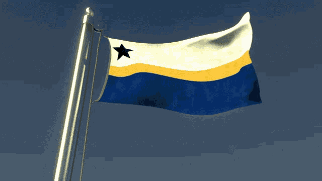 a blue yellow and white flag with a black star on it
