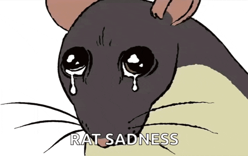 a drawing of a rat with tears coming out of it 's eyes and the words rat sadness below it