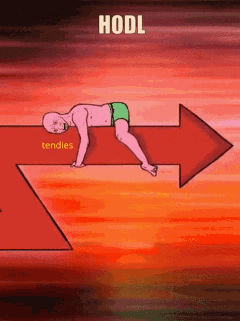 a cartoon of a man laying on a red arrow with the word hodl written above him