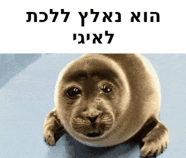 a picture of a seal with the words in hebrew on the top