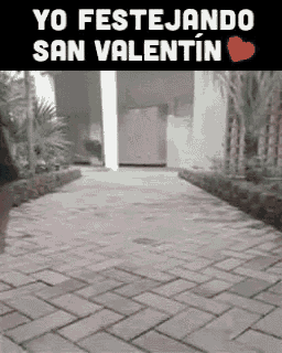 a dog is walking down a brick walkway with the words yo festejando san valentin written on it .
