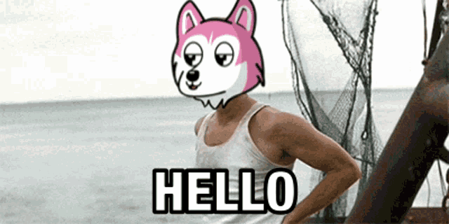 a man with a pink dog on his head is standing in front of the ocean and says hello