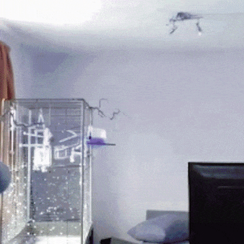a room with a bird cage and a tv in it