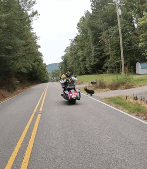 a person riding a motorcycle down a road with trees on the side