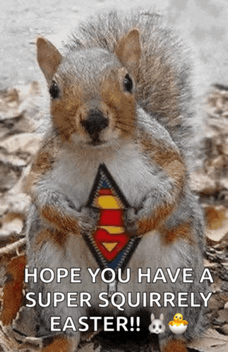 a squirrel is wearing a superman shirt and tie and says hope you have a super squirrelly easter !
