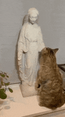 Mother Mary Cat Mother Mary Statue GIF - Mother Mary Cat Mother Mary Statue Mary Statue GIFs