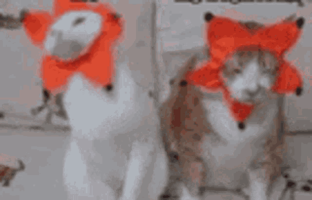a couple of cats wearing red hats and scarves are standing next to each other .
