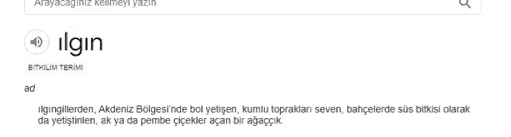 a screenshot of a google search for ilgin