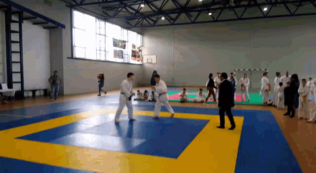 Judo Sebistu GIF - Judo Sebistu GIFs