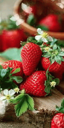 Berries Red GIF - Berries Red Yummy GIFs