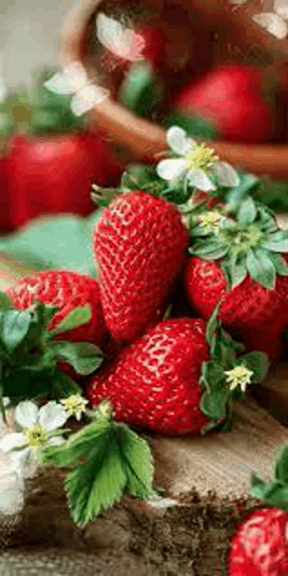 a bunch of strawberries sitting on top of a wooden stump .