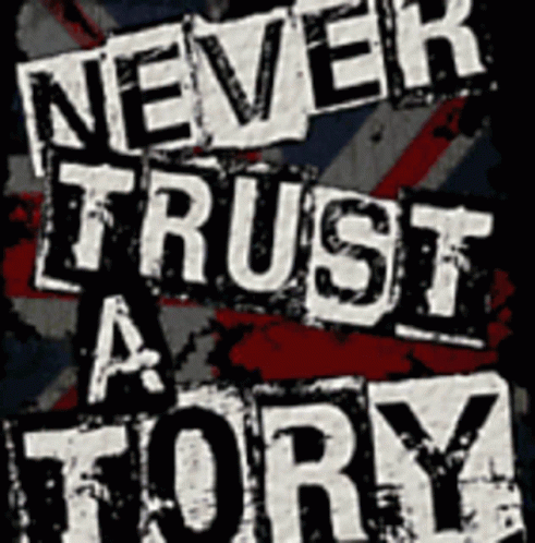 Never Trust Tory Tories GIF - Never Trust Tory Tories Conservative GIFs