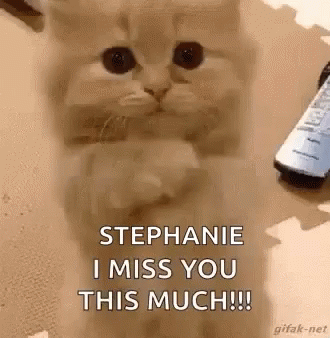Miss You Stephanie Kitten GIF - Miss You Stephanie Kitten Love GIFs