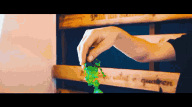 a close up of a person 's hand reaching for a piece of greenery