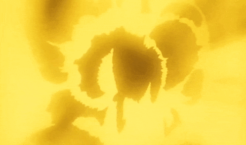 a silhouette of a person standing in front of a bright yellow background
