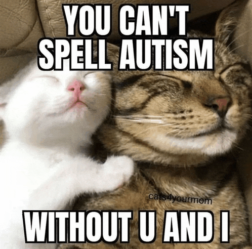 a picture of two cats with a caption that says " you can t spell autism without u and i "