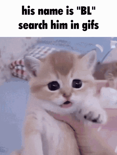 His Name Is Bl GIF - His Name Is Bl Search Im In Gifs GIFs