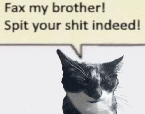 a black and white cat is standing in front of a speech bubble that says fax my brother spit your shit indeed
