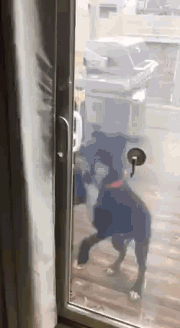 Princess Opening The Door GIF