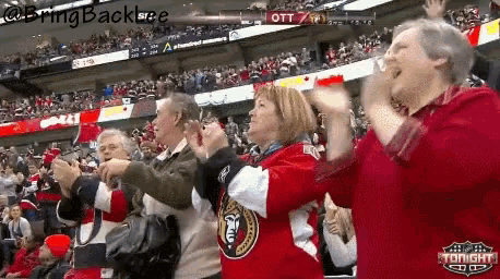 a crowd of people are watching a hockey game and one of the sponsors is ott